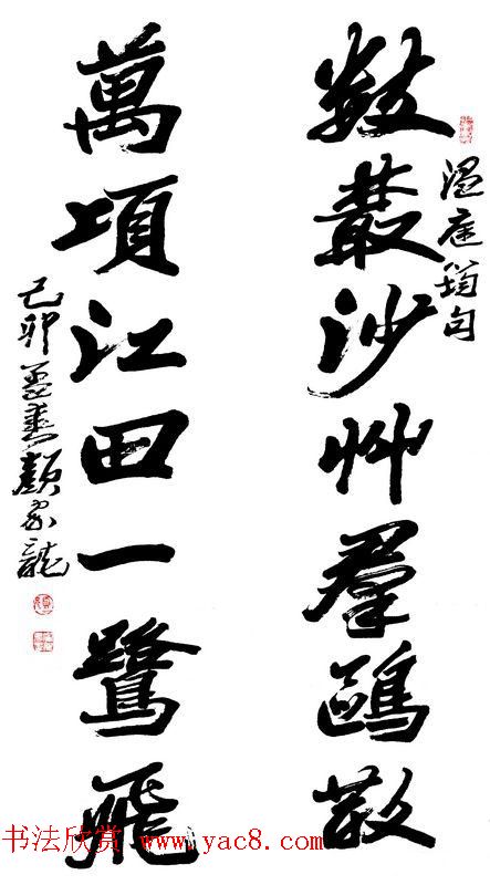 湖南书协主席颜家龙书法作品欣赏