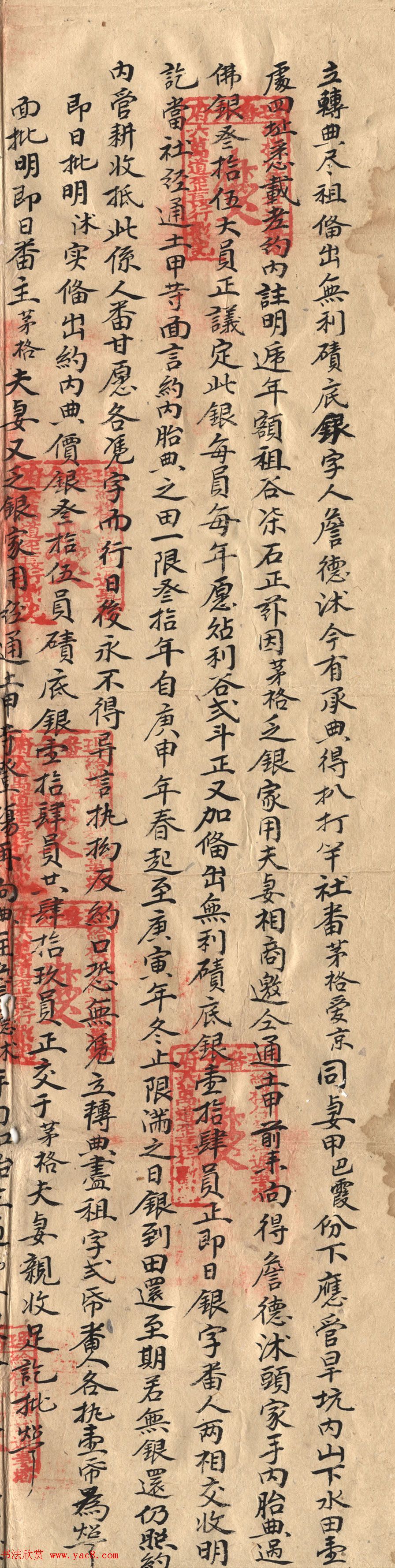 老字据《詹德沐立转典尽租备出无利碛底银字》