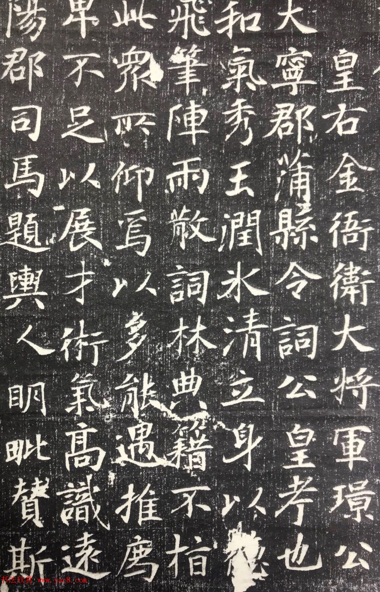 唐代邬肜楷书《侯知什墓志》