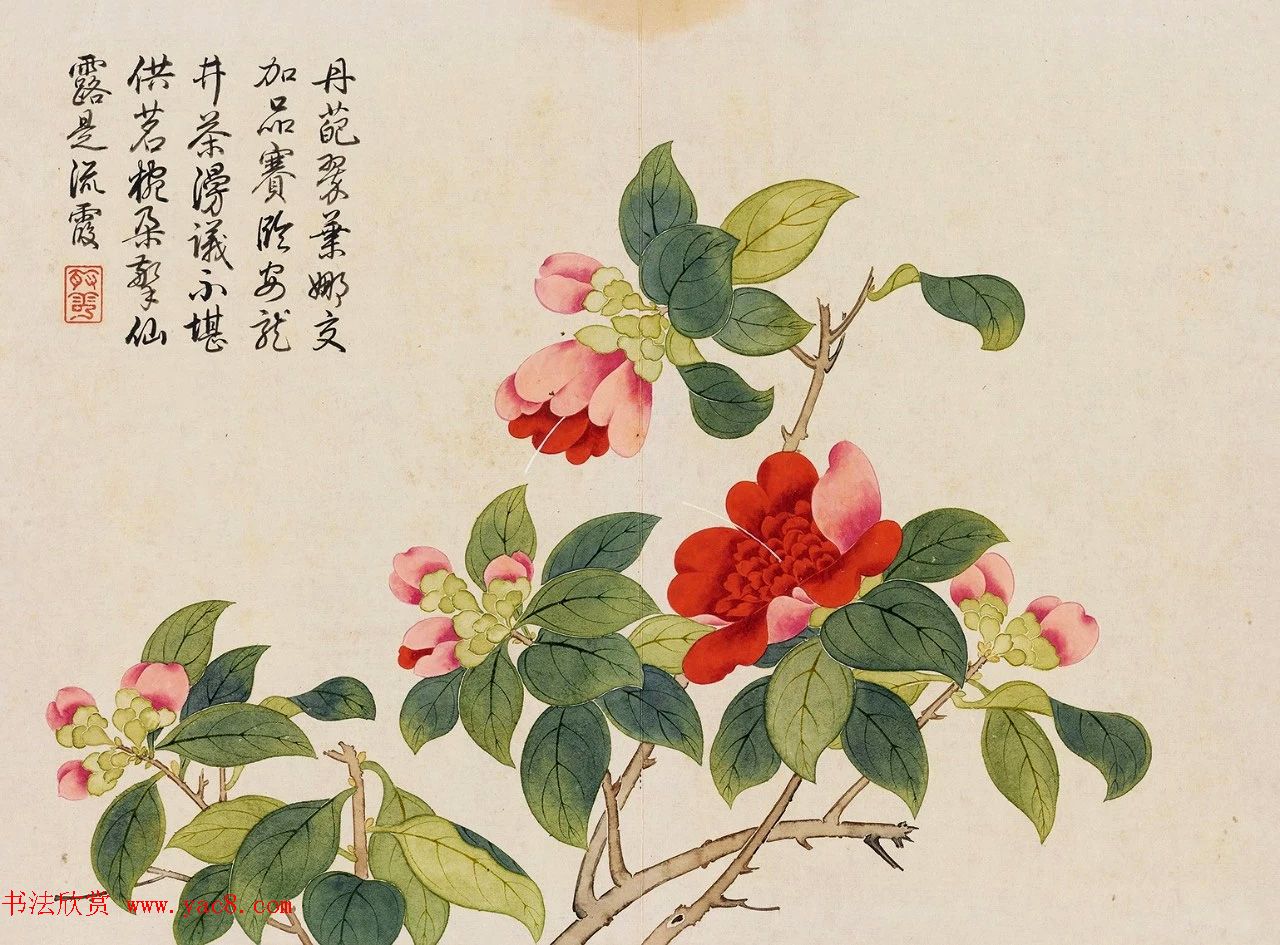 乾隆书法御题钱维城花卉册页