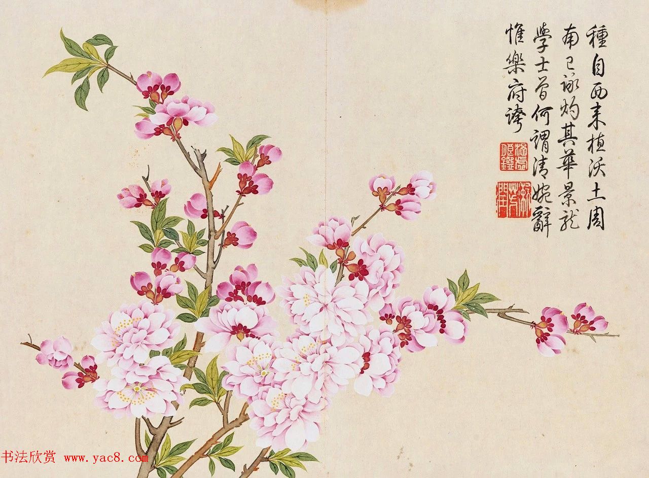 乾隆书法御题钱维城花卉册页