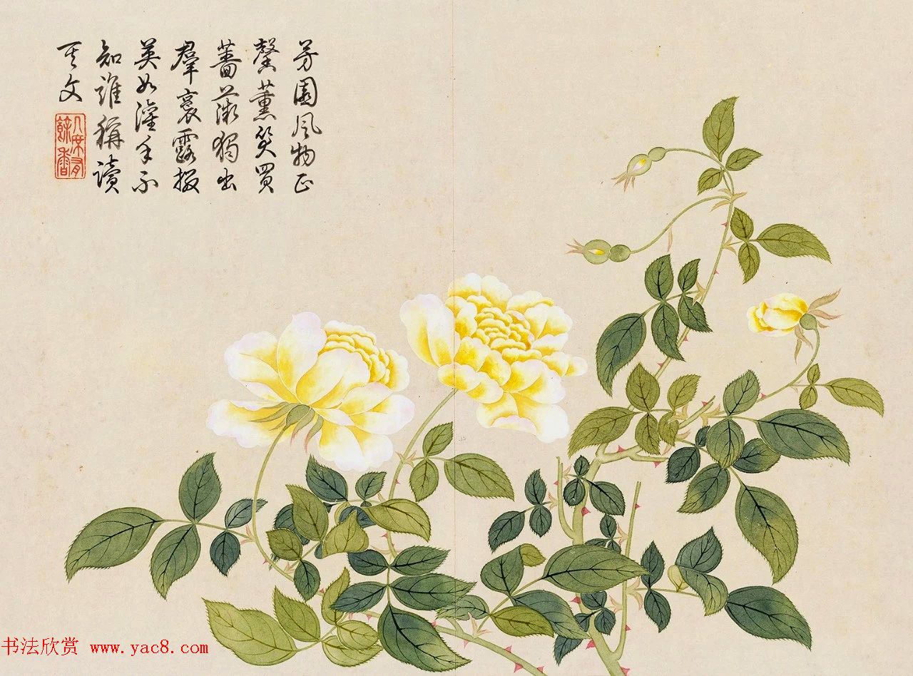 乾隆书法御题钱维城花卉册页