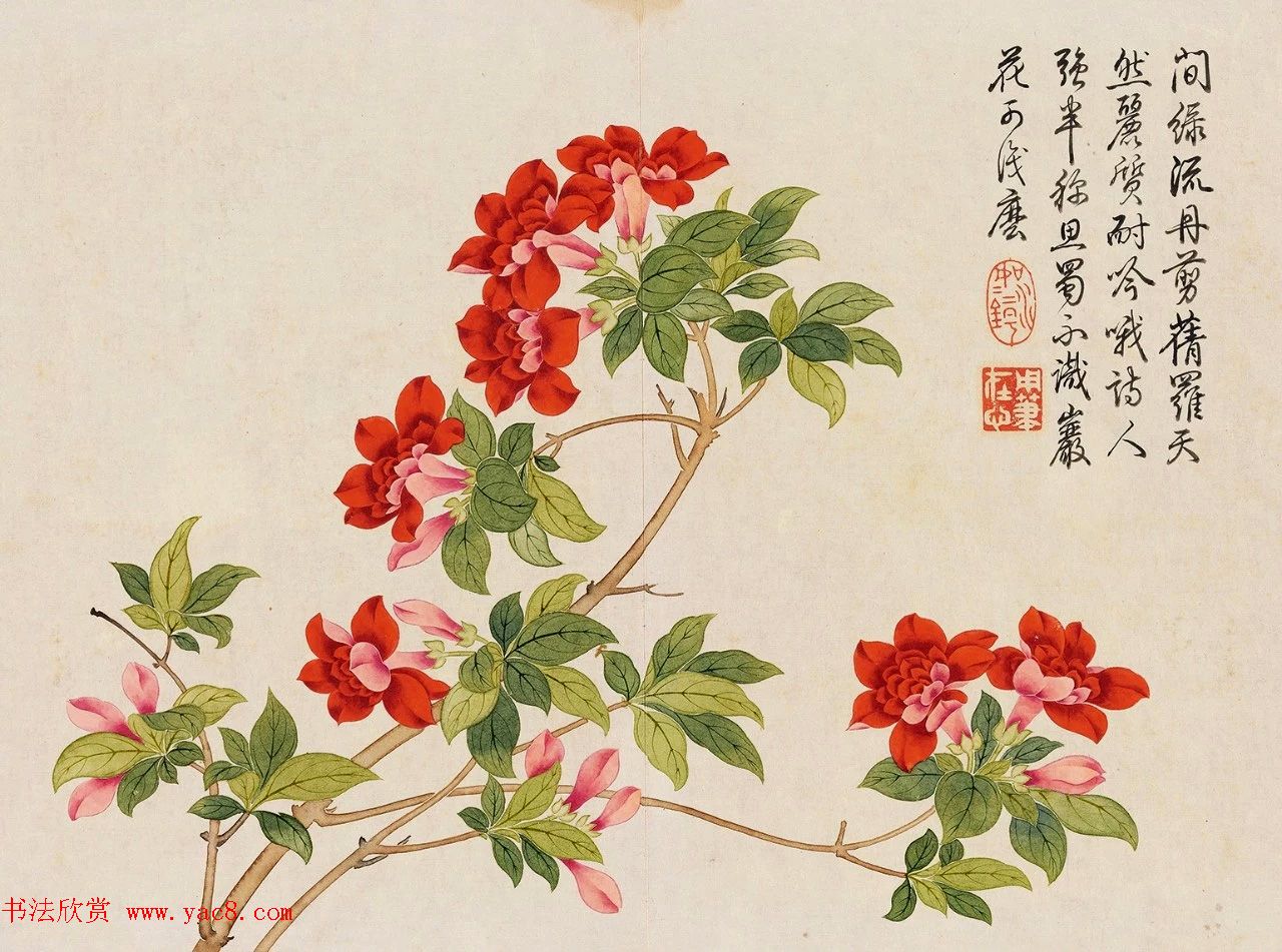 乾隆书法御题钱维城花卉册页