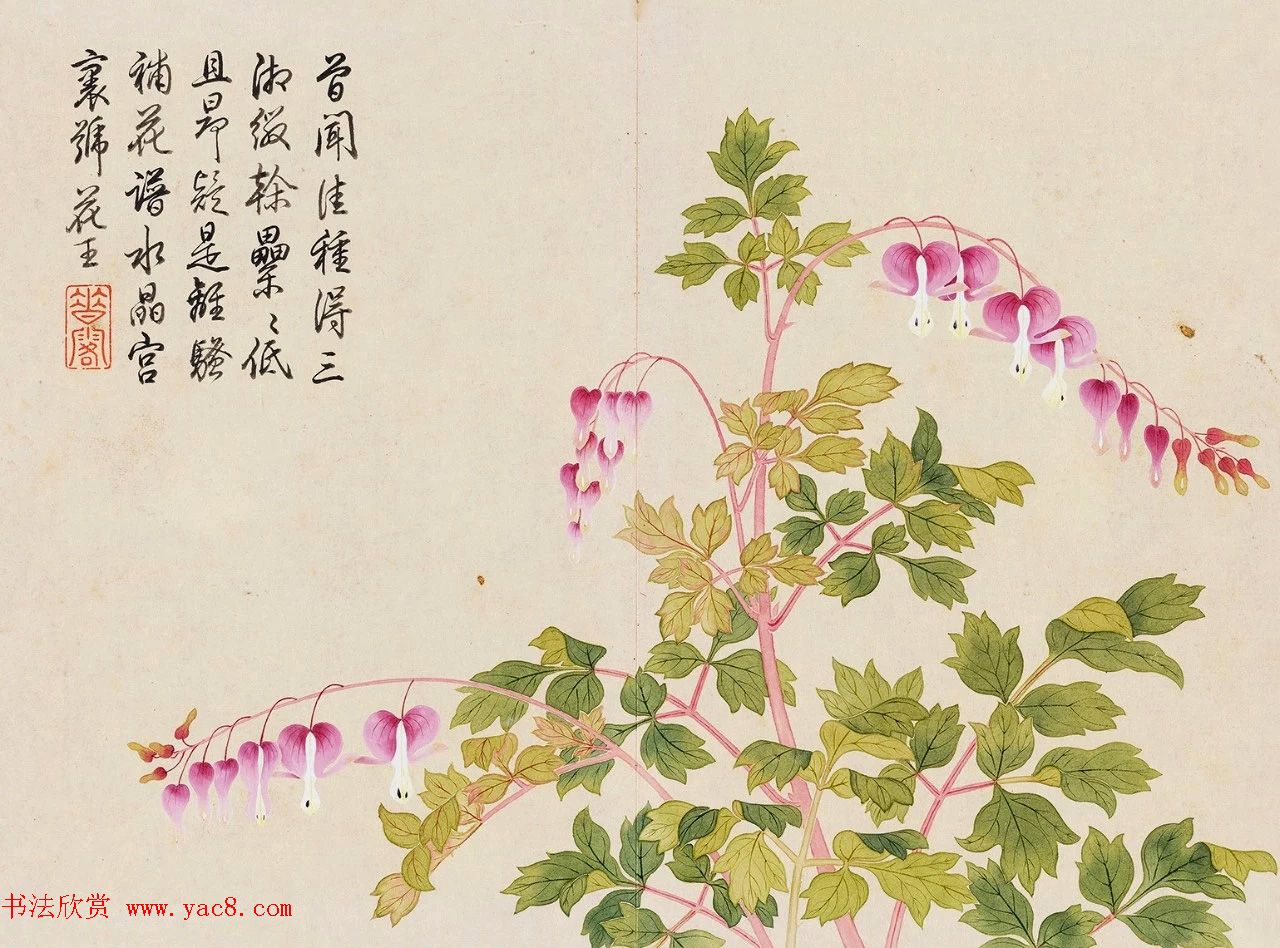 乾隆书法御题钱维城花卉册页