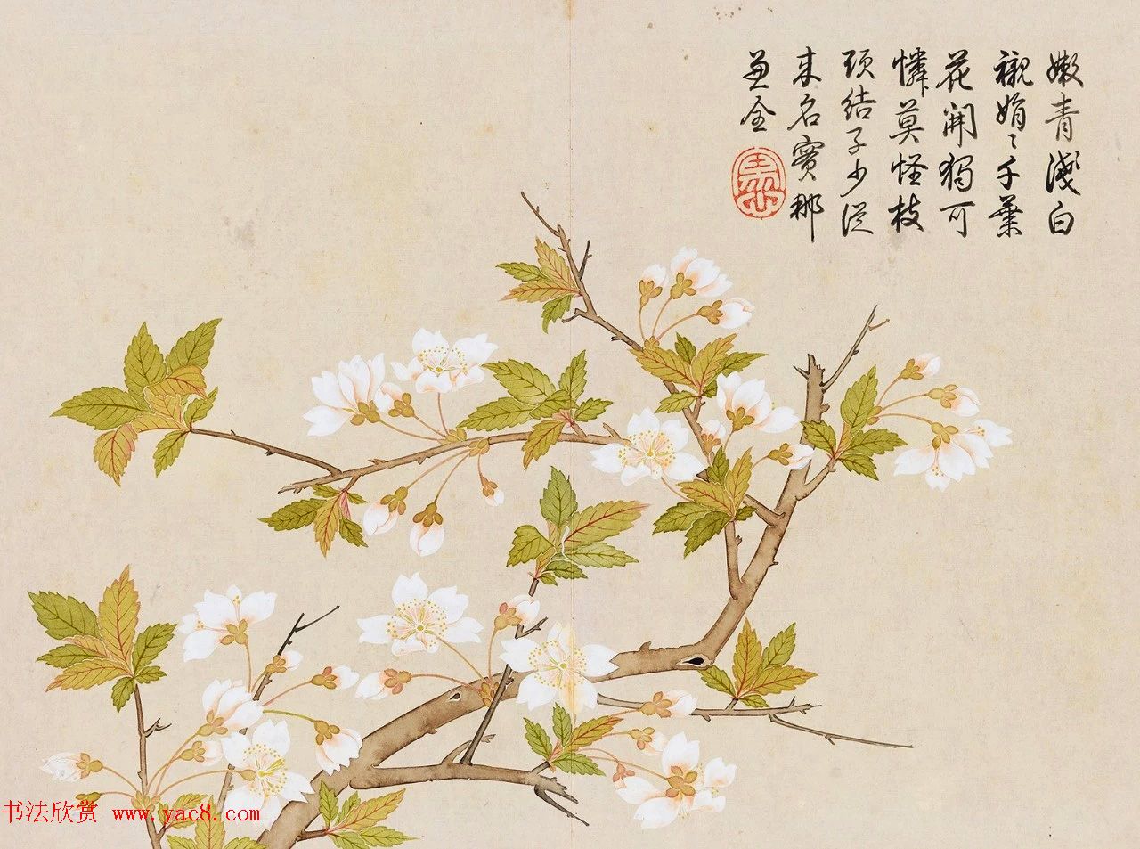 乾隆书法御题钱维城花卉册页