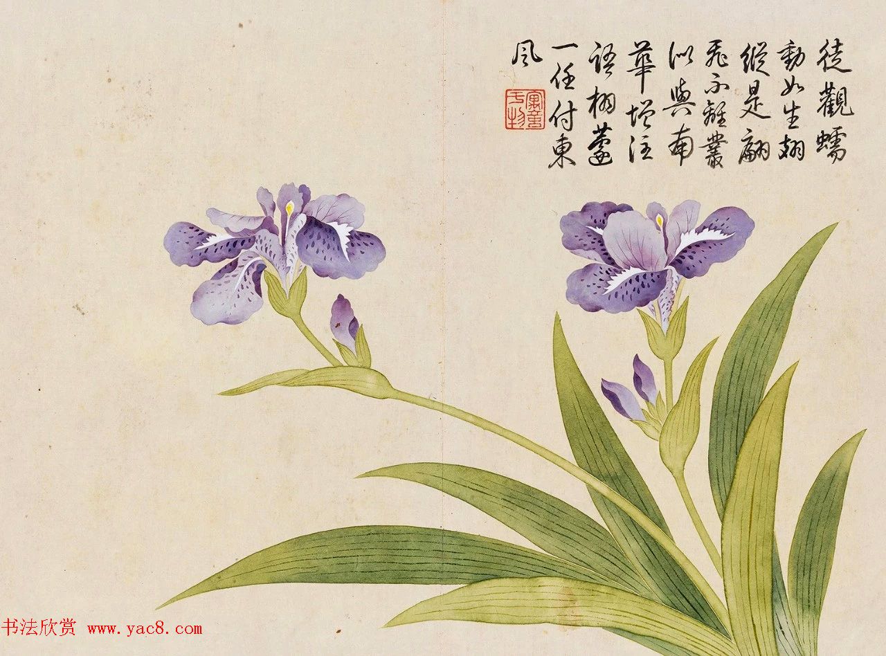 乾隆书法御题钱维城花卉册页