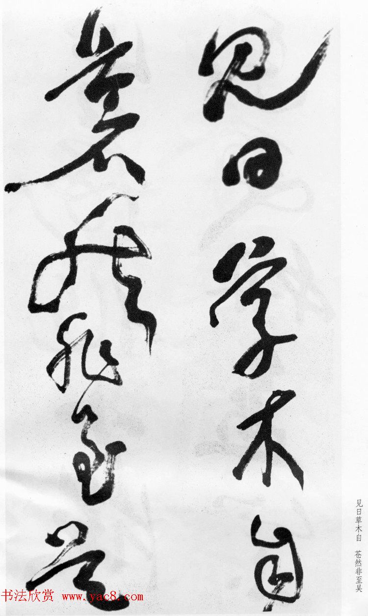 清代蒲华草书《诗评四条屏》等 清代蒲华草书《诗评四条屏》等