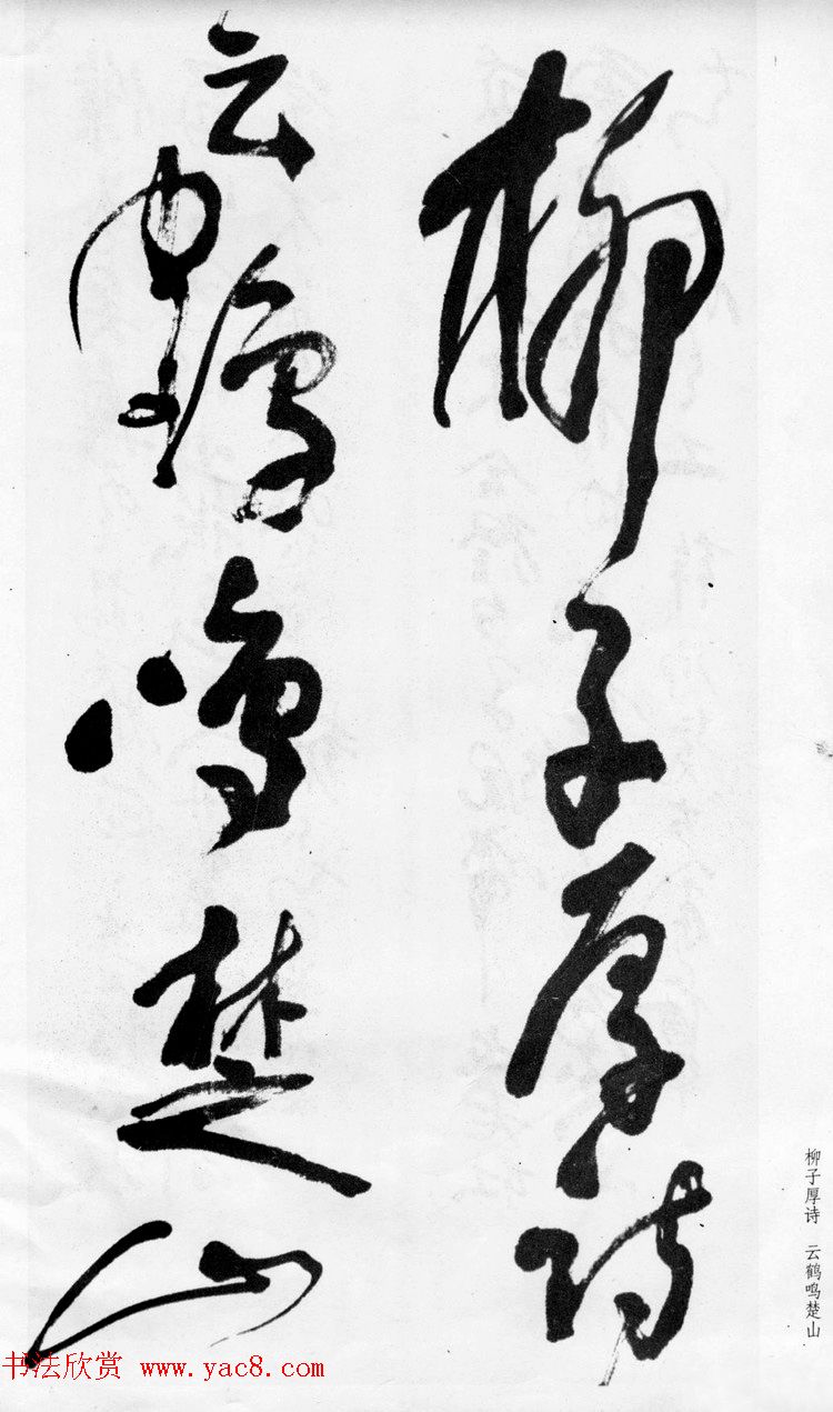 清代蒲华草书《诗评四条屏》等 清代蒲华草书《诗评四条屏》等