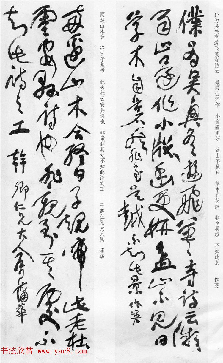 清代蒲华草书《诗评四条屏》等 清代蒲华草书《诗评四条屏》等