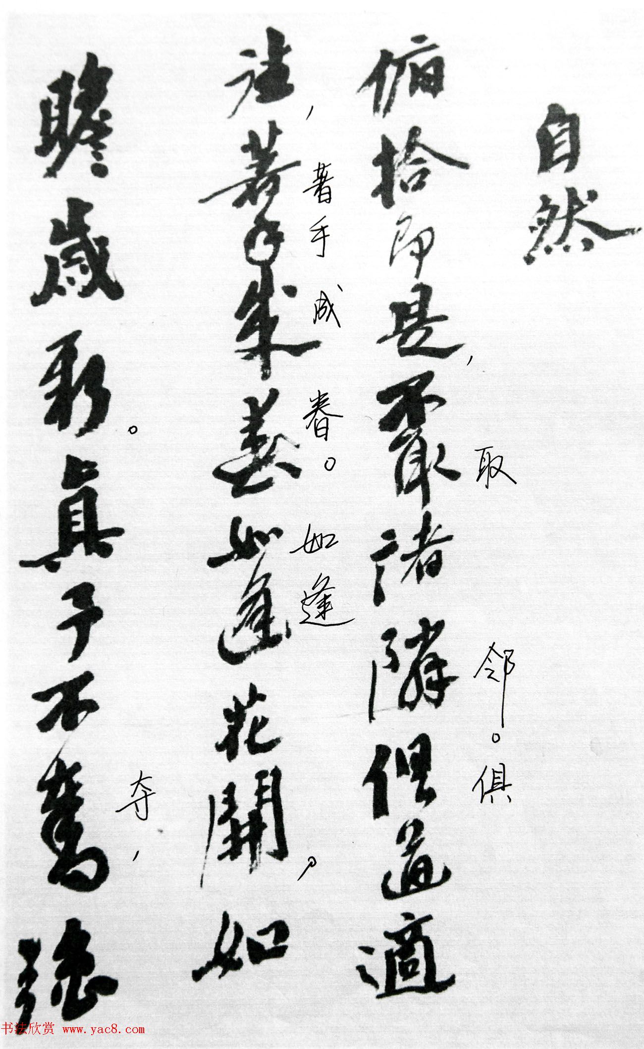 沙孟海86岁书法《司空表圣诗品二十四则》