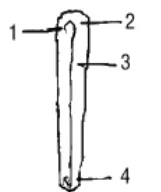 《学写隶书》点画的书写步骤和变化+名碑集字剖析 《学写隶书》点画的书写步骤和变化+名碑集字剖析