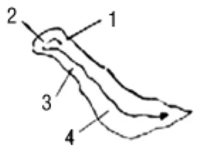 《学写隶书》点画的书写步骤和变化+名碑集字剖析 《学写隶书》点画的书写步骤和变化+名碑集字剖析