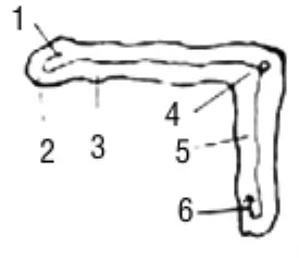 《学写隶书》点画的书写步骤和变化+名碑集字剖析 《学写隶书》点画的书写步骤和变化+名碑集字剖析