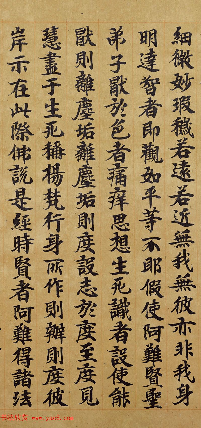 宋人写经卷《佛说胞胎经》传世残本