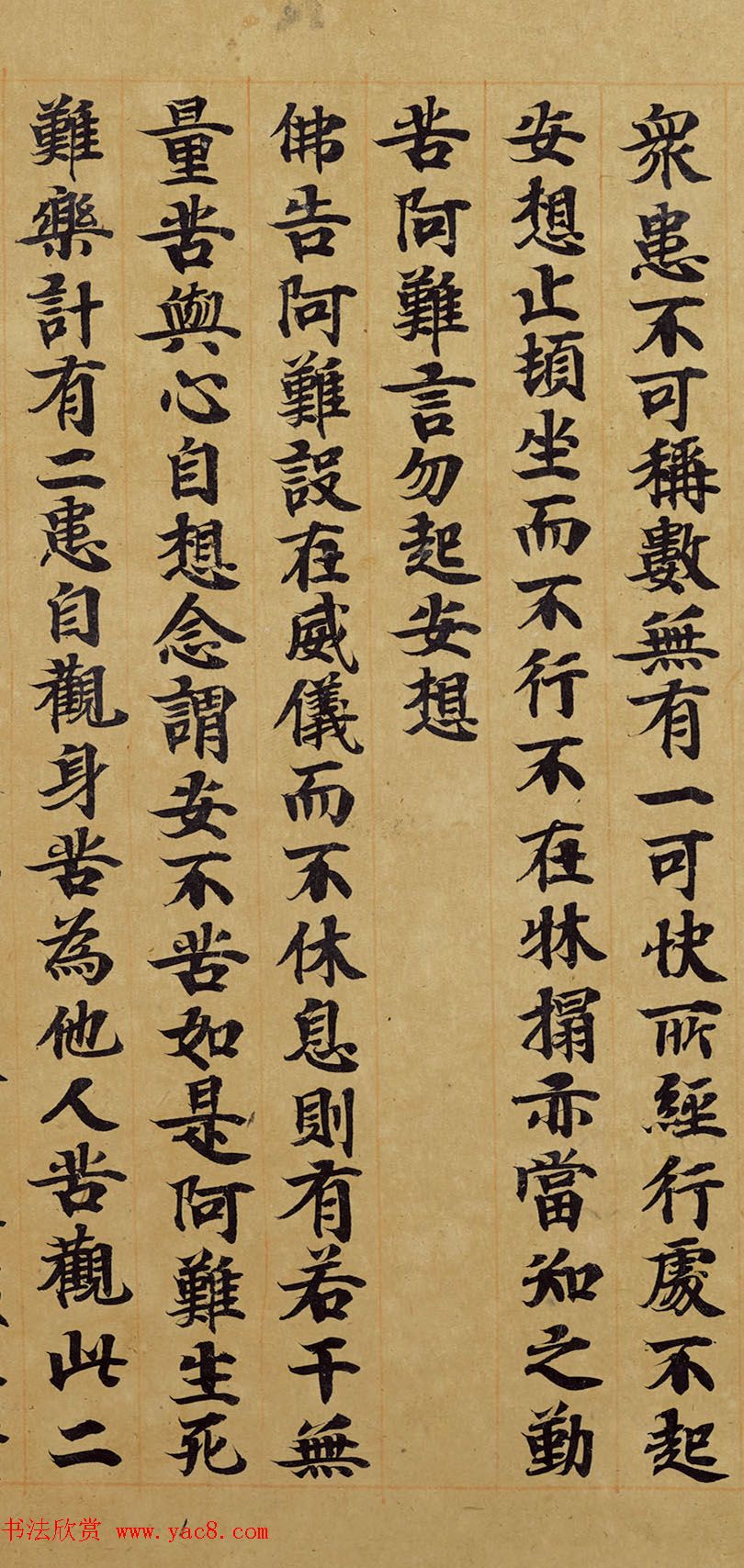 宋人写经卷《佛说胞胎经》传世残本