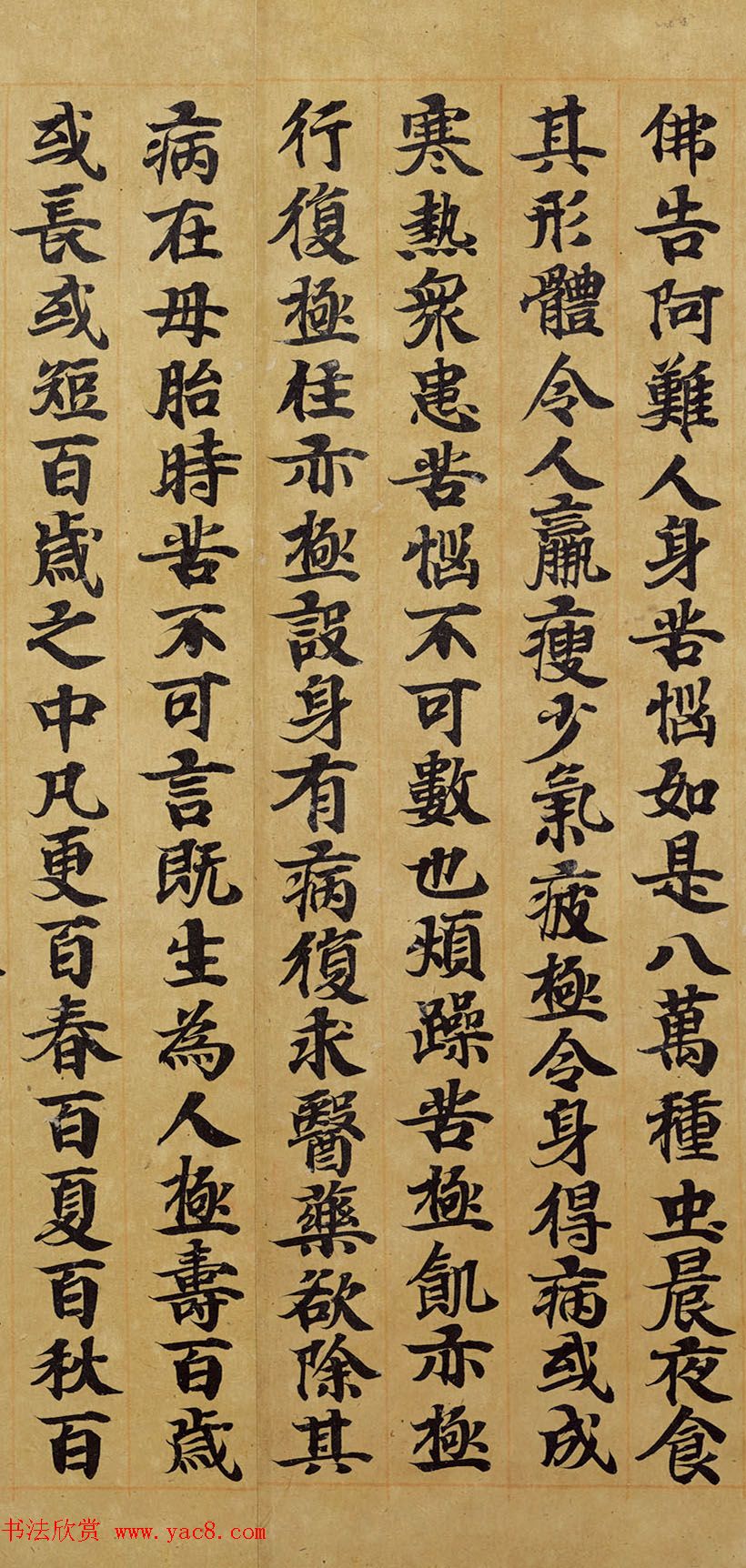 宋人写经卷《佛说胞胎经》传世残本