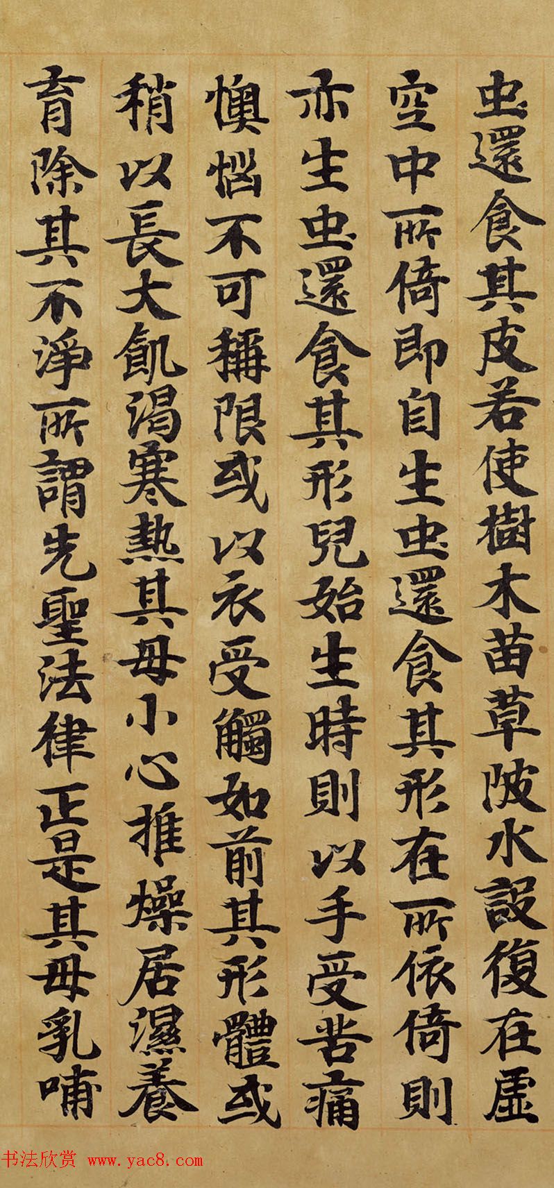 宋人写经卷《佛说胞胎经》传世残本 宋人写经卷《佛说胞胎经》传世残本