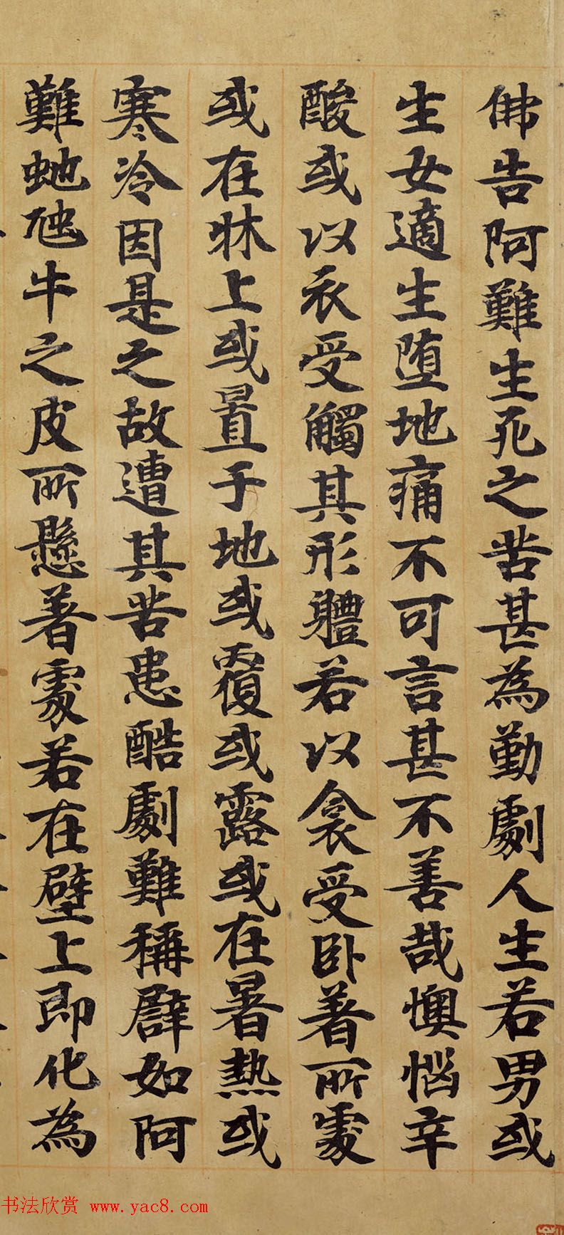 宋人写经卷《佛说胞胎经》传世残本