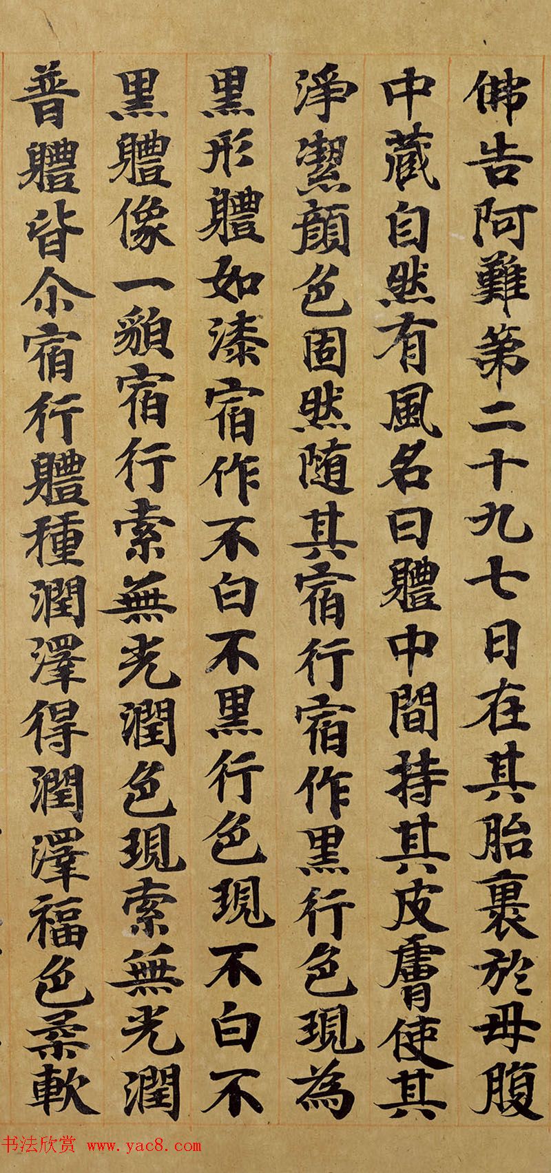 宋人写经卷《佛说胞胎经》传世残本 宋人写经卷《佛说胞胎经》传世残本