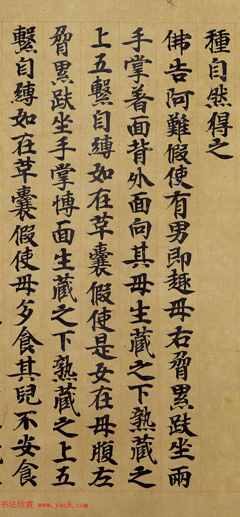 宋人写经卷《佛说胞胎经》传世残本 宋人写经卷《佛说胞胎经》传世残本