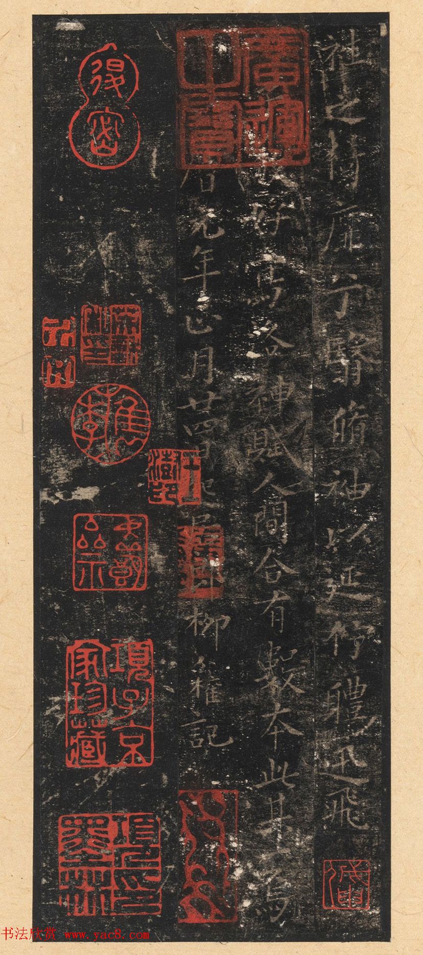 晋唐小楷法书八种旧拓本_美国藏