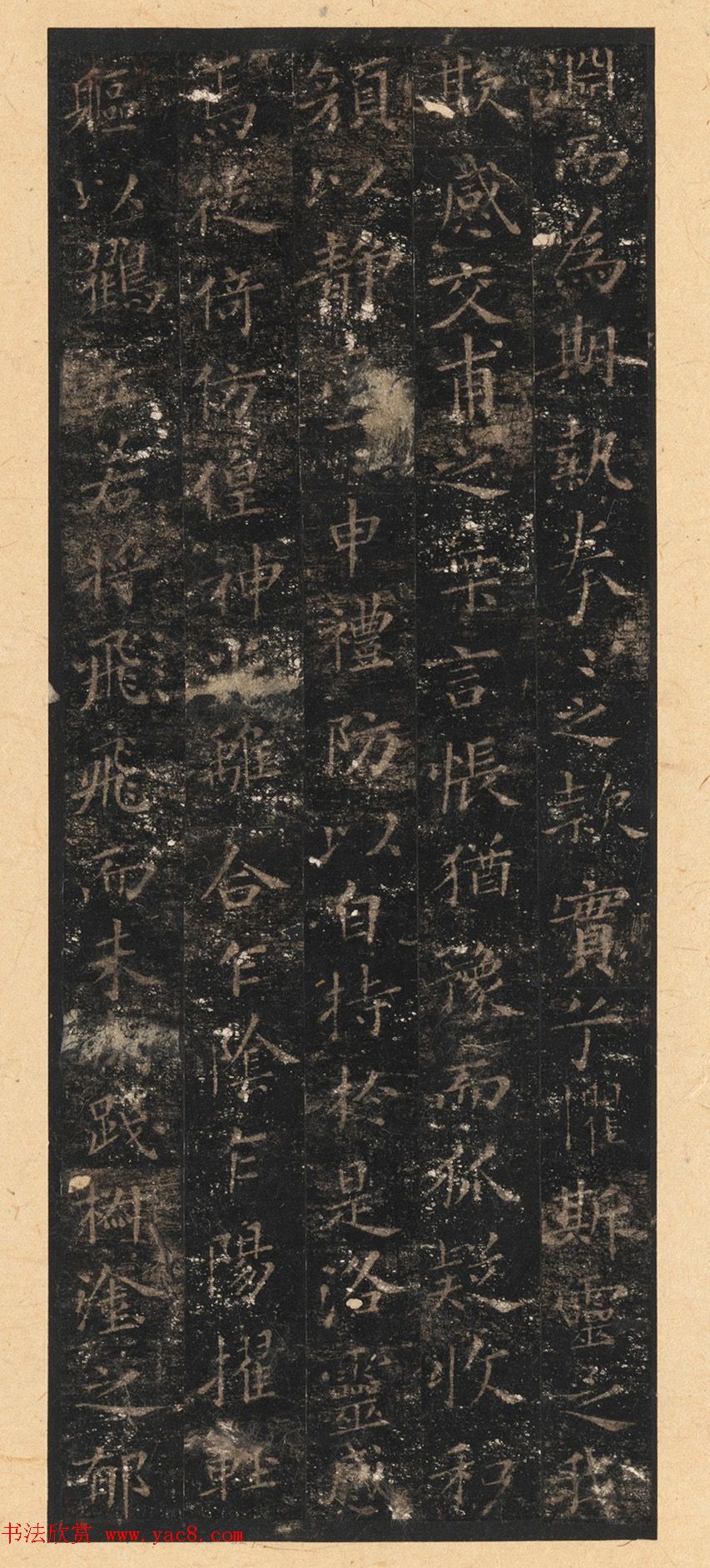 晋唐小楷法书八种旧拓本_美国藏