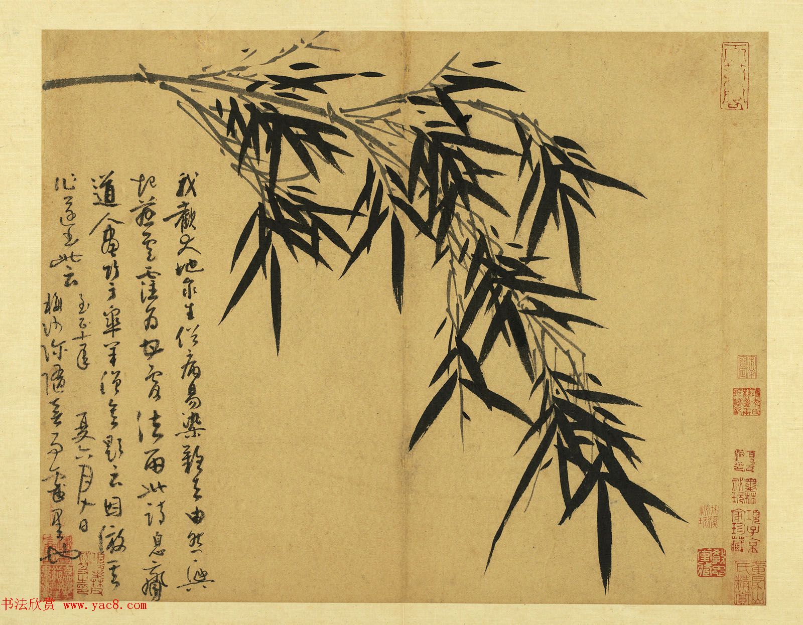 元代吴镇71岁书画册《墨竹谱》