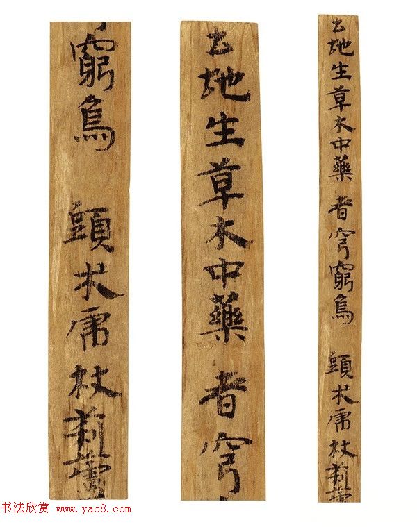 多体墨书《郴州苏仙桥三国吴简》