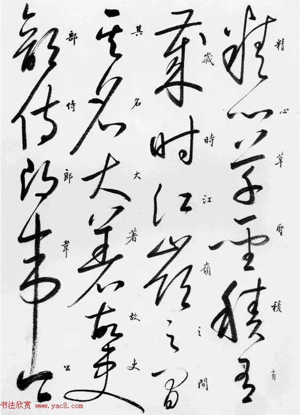 启功草书临唐怀素自叙帖 启功草书临唐怀素自叙帖