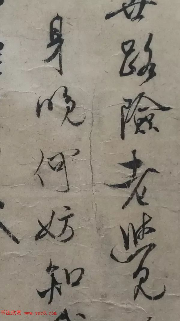 米芾行书题跋苏轼《枯木怪石图》