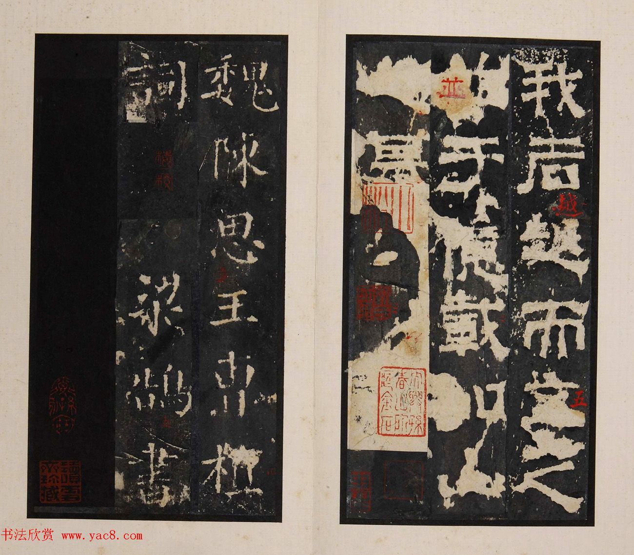 《明拓孔羡碑》书法结体雄厚，笔势方劲