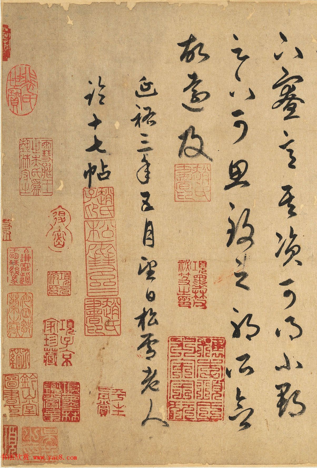 赵孟頫63岁草书《元赵文敏公临十七帖》