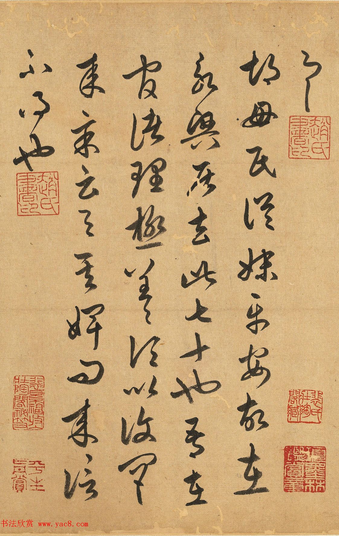 赵孟頫63岁草书《元赵文敏公临十七帖》