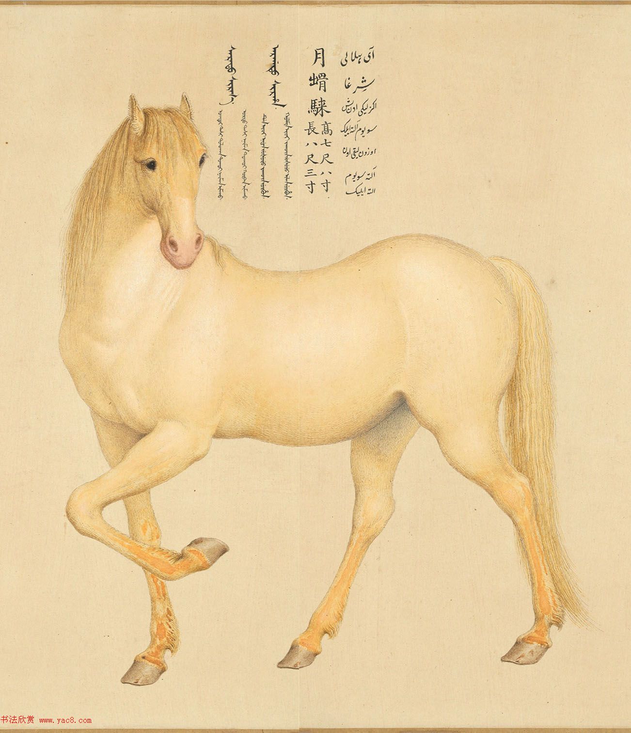 乾隆御笔书《爱乌罕四骏歌》附郎世宁画马