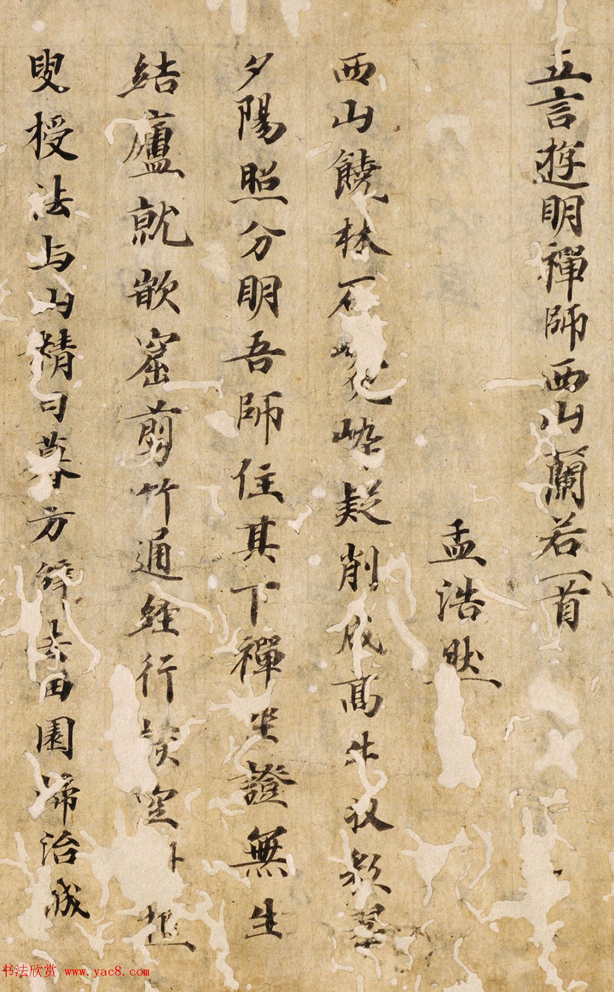 唐楷书残篇《孟浩然五言诗六首》