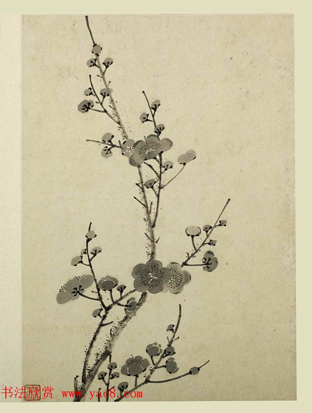 清代金俊明书画欣赏《梅花图册》