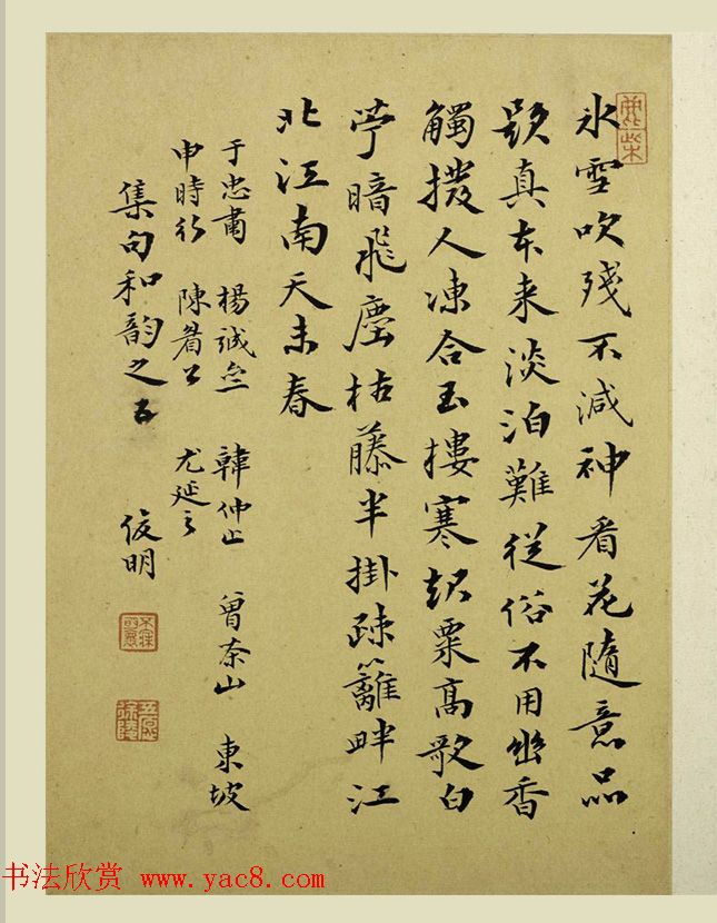 清代金俊明书画欣赏《梅花图册》