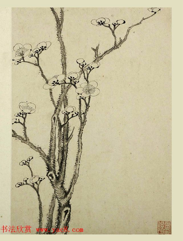 清代金俊明书画欣赏《梅花图册》