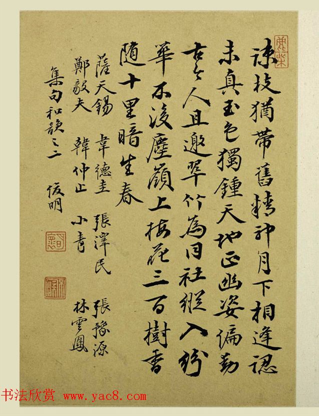 清代金俊明书画欣赏《梅花图册》