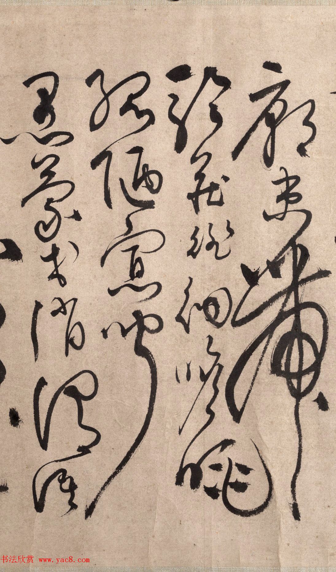 明代书法家张弼草书欣赏《千字文》手卷 明代书法家张弼草书欣赏《千字文》手卷