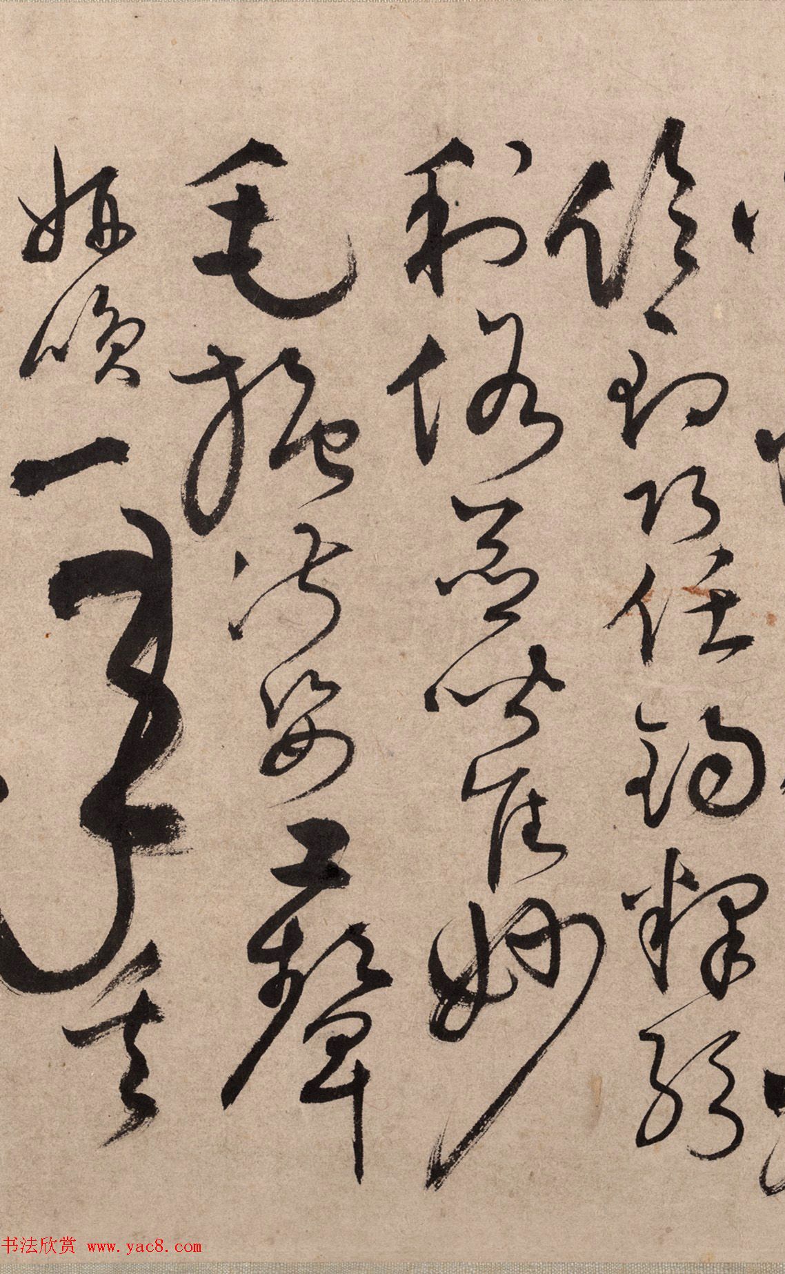 明代书法家张弼草书欣赏《千字文》手卷 明代书法家张弼草书欣赏《千字文》手卷