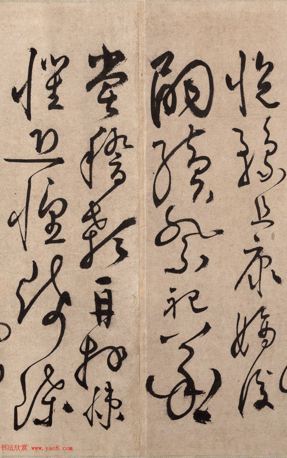 明代书法家张弼草书欣赏《千字文》手卷 明代书法家张弼草书欣赏《千字文》手卷