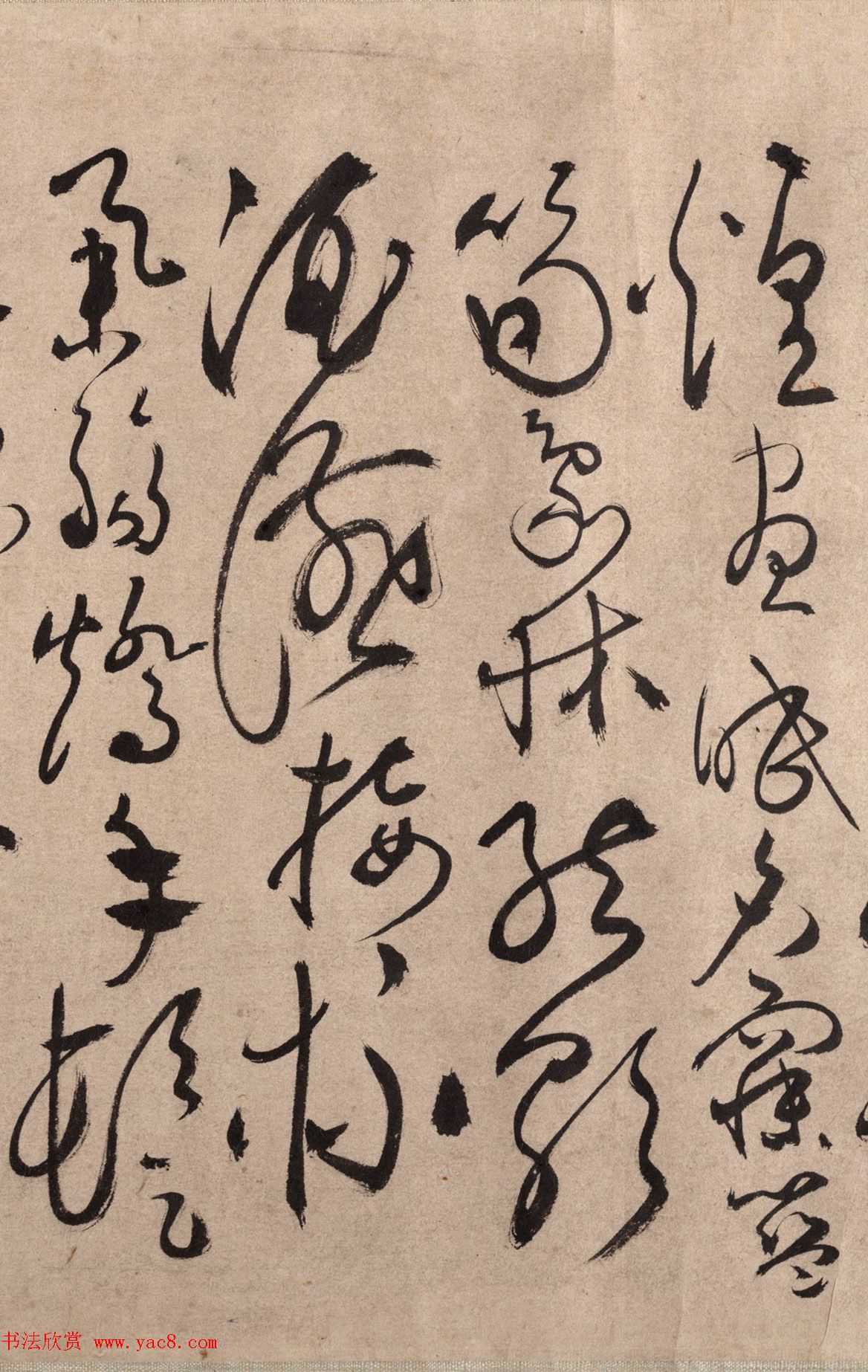 明代书法家张弼草书欣赏《千字文》手卷 明代书法家张弼草书欣赏《千字文》手卷