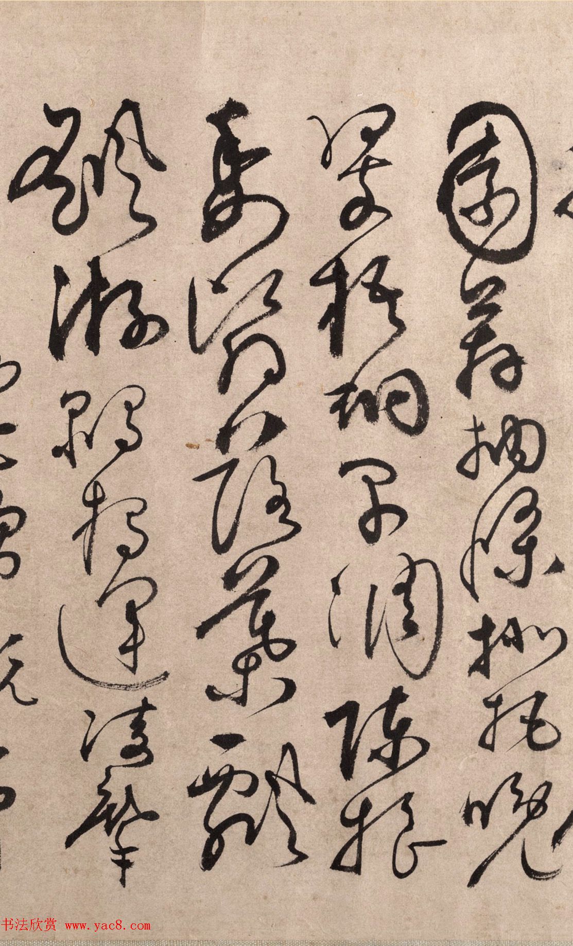 明代书法家张弼草书欣赏《千字文》手卷 明代书法家张弼草书欣赏《千字文》手卷