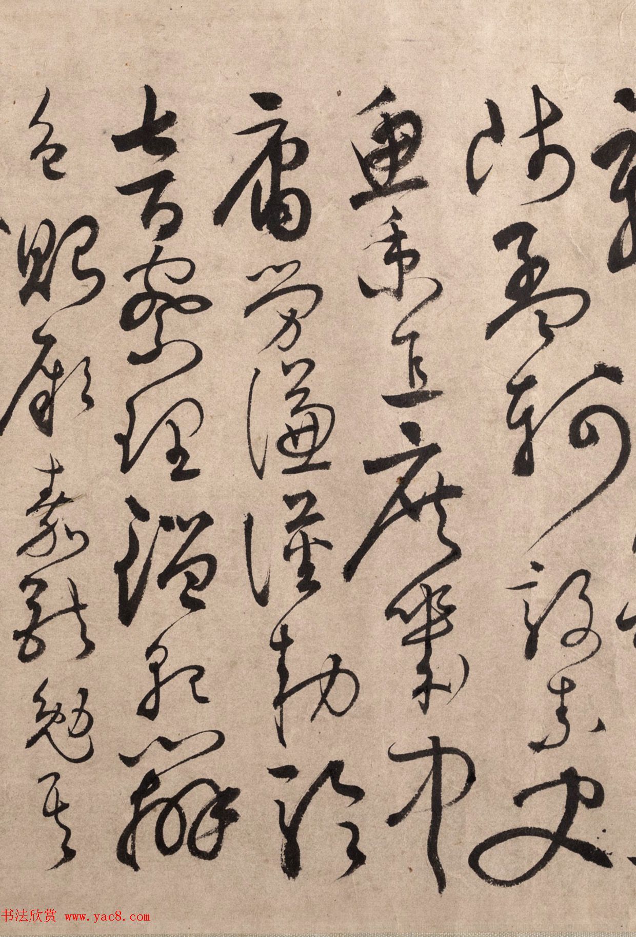 明代书法家张弼草书欣赏《千字文》手卷 明代书法家张弼草书欣赏《千字文》手卷