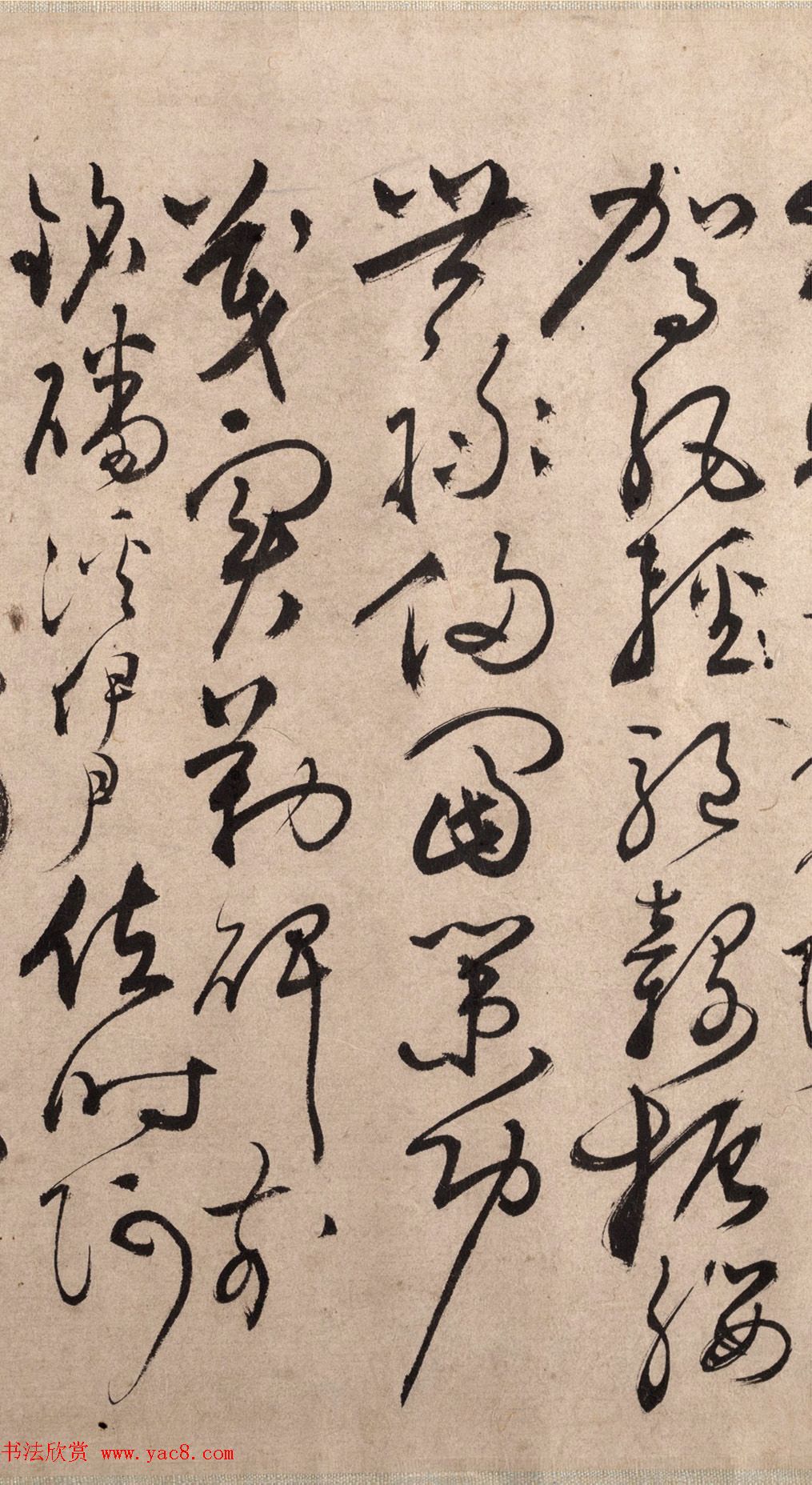 明代书法家张弼草书欣赏《千字文》手卷 明代书法家张弼草书欣赏《千字文》手卷