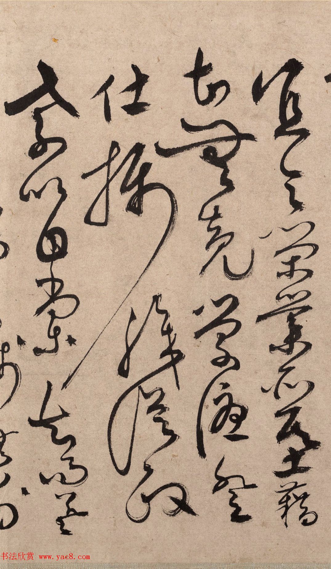 明代书法家张弼草书欣赏《千字文》手卷 明代书法家张弼草书欣赏《千字文》手卷