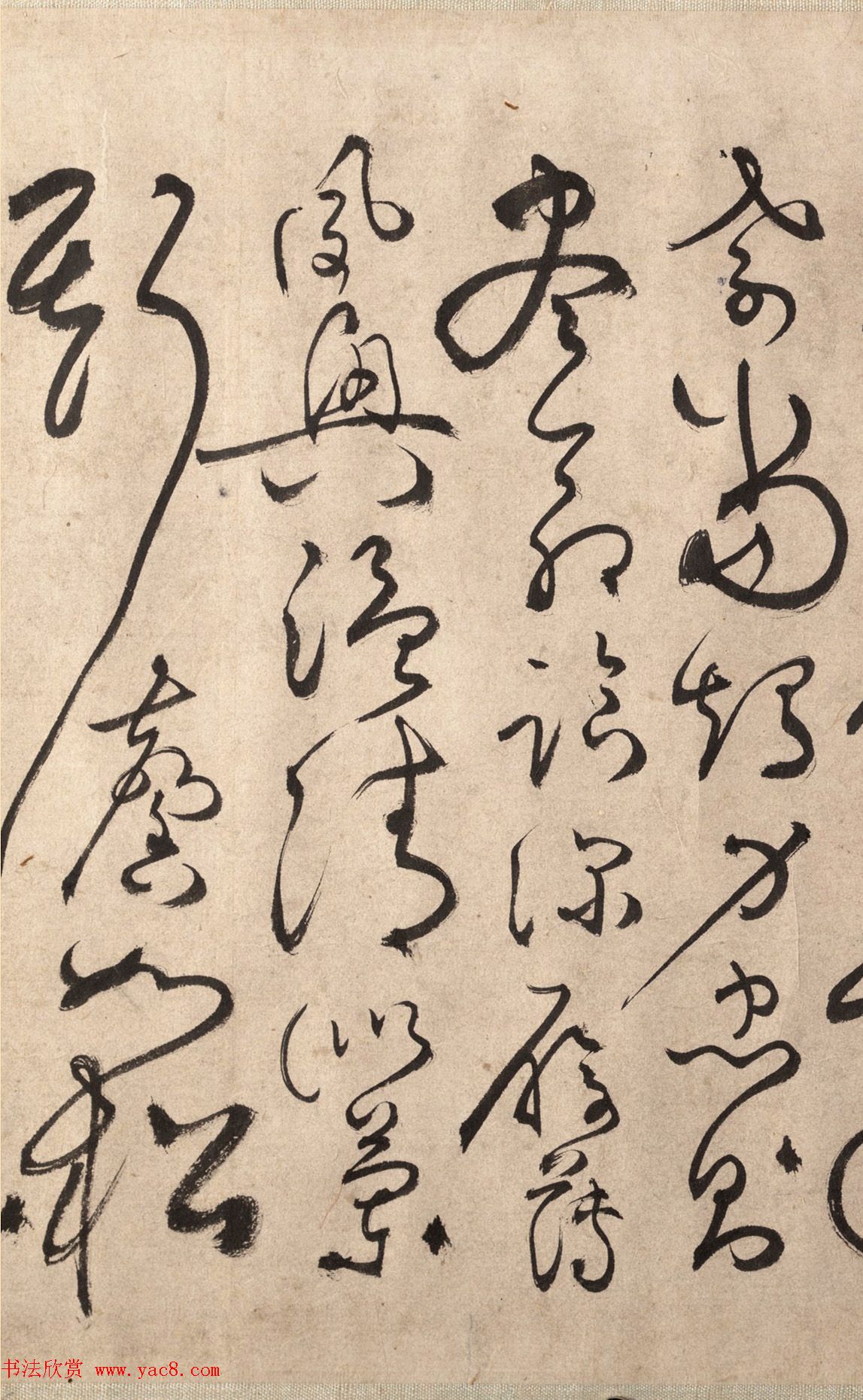 明代书法家张弼草书欣赏《千字文》手卷 明代书法家张弼草书欣赏《千字文》手卷