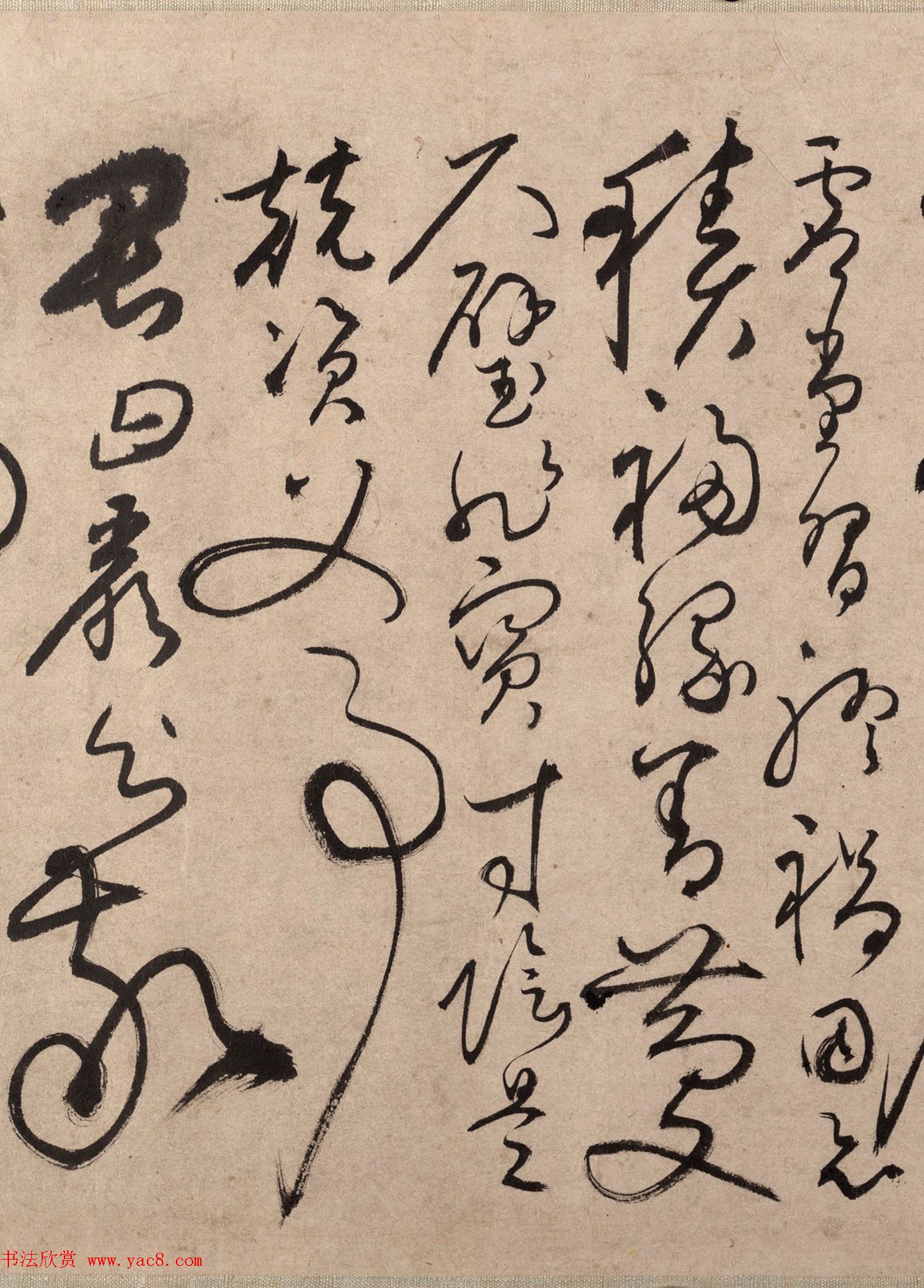 明代书法家张弼草书欣赏《千字文》手卷 明代书法家张弼草书欣赏《千字文》手卷