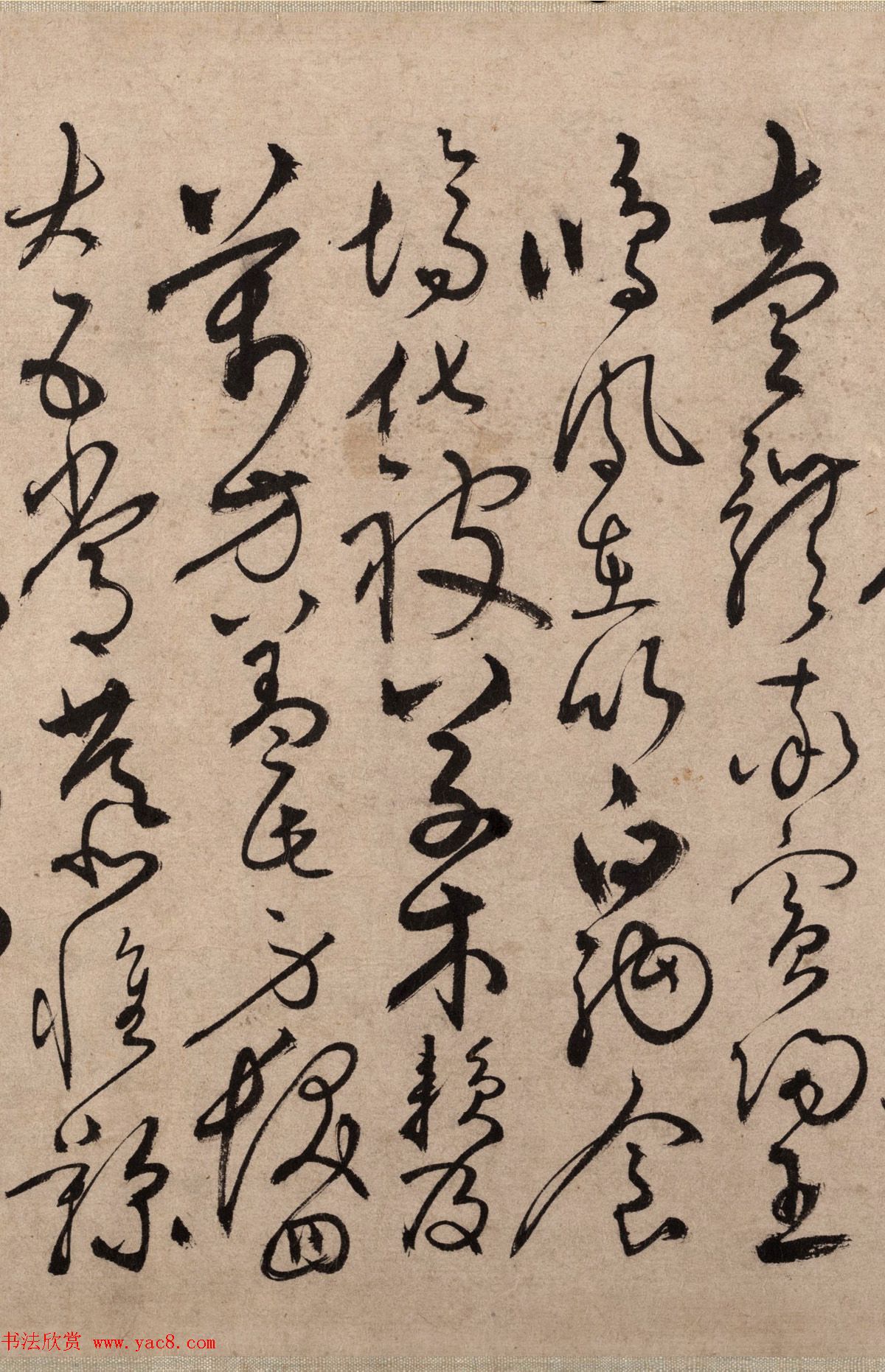 明代书法家张弼草书欣赏《千字文》手卷 明代书法家张弼草书欣赏《千字文》手卷